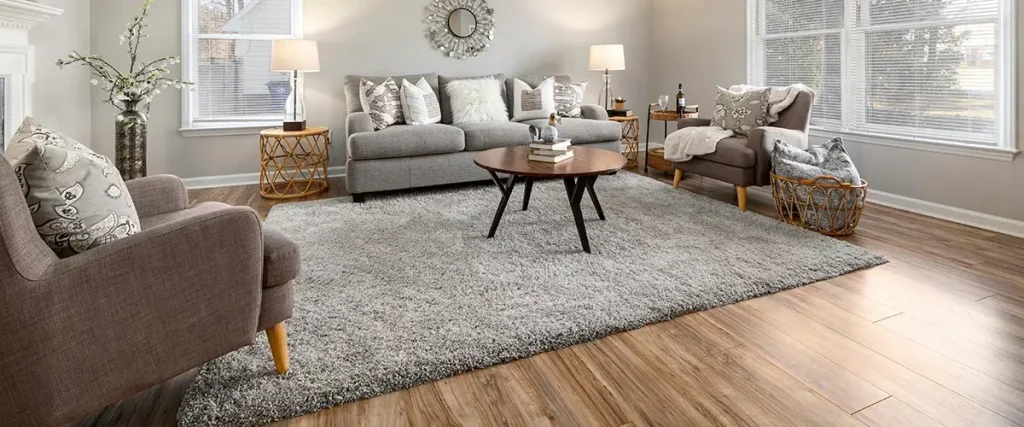 Astuce pour le nettoyage de tapis à poils longs