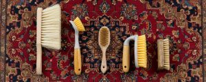 Brosse de nettoyage pour tapis