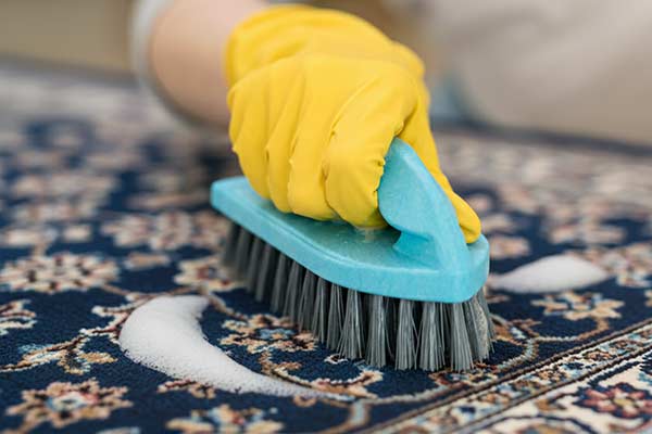 Brosse de nettoyage pour tapis à poils rigide