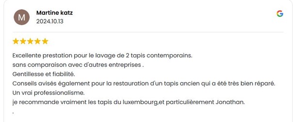 Cas concret - Réparation d'un tapis Bakhtiar ancien