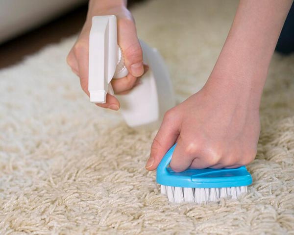 Comment nettoyer un tapis de salon ? Nettoyage de tapis de salon