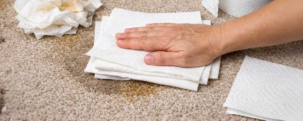 Nettoyer un tapis taché d’urine