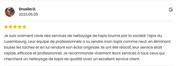 Nettoyer un tapis taché d’urine cas concret chez Tapis Du Luxembourg