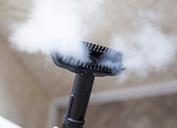 Nettoyeur à vapeur