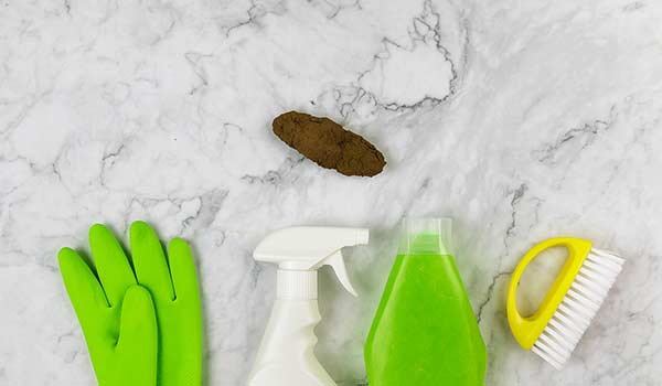 Comment nettoyer une tache de caca sur tapis ? Produis enzymatqiue pour nettoyer une tache de caca sur tapis