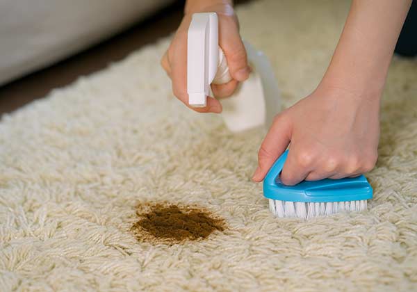 Comment nettoyer une tache de caca sur tapis ? Retrait d’une tache de caca sur un tapis