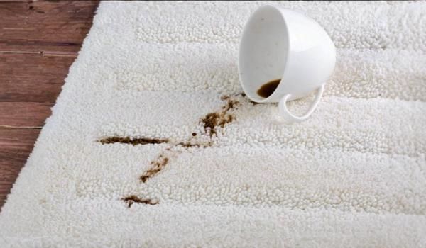Nettoyer un tapis blanc à poils longs : guide pratique Tapis blanc à poils longs taché de café