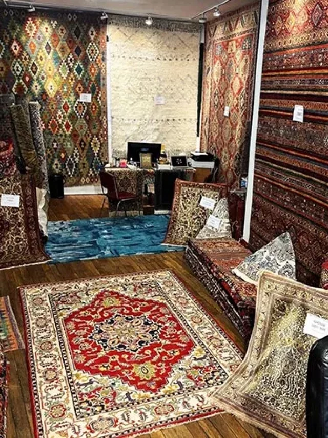 Large choix de tapis oriental pas cher