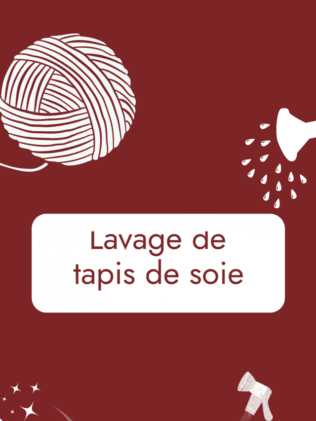 Lavage de tapis de soie