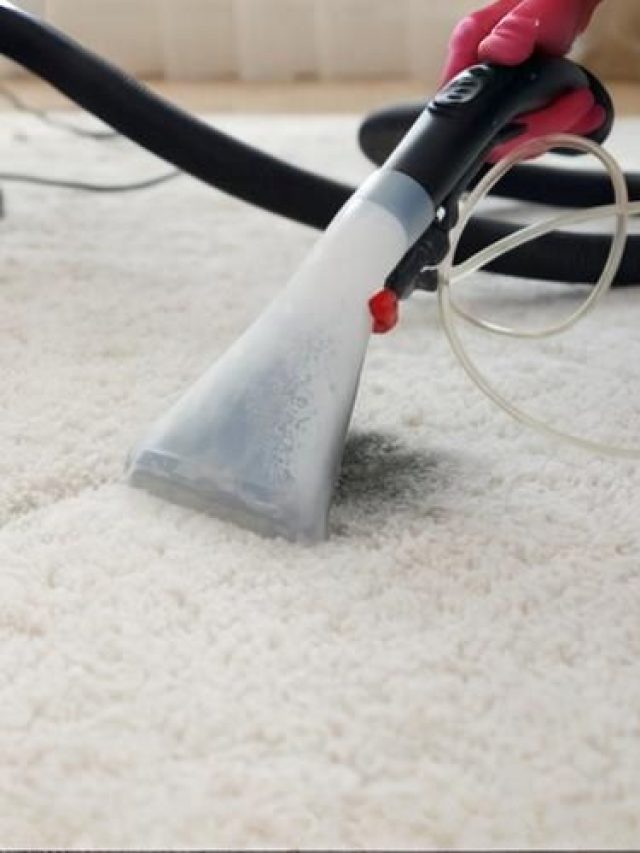 Nettoyer un tapis blanc à poils longs