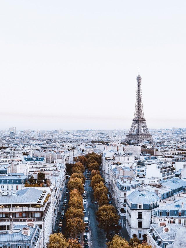 Réparation de Tapis à Paris