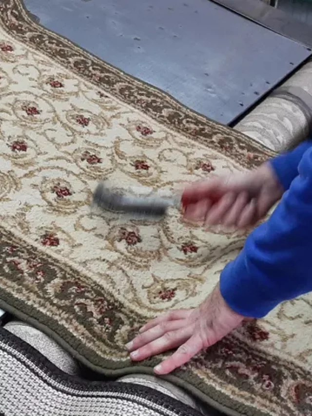 detacher un tapis lavage en profondeur