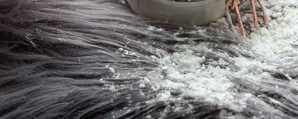 Nettoyer un tapis à poils